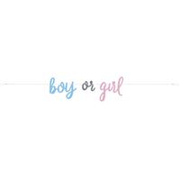 Gender Reveal Banner