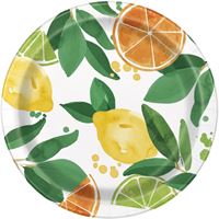 Citrus Fruit Round 9" Dinner Plates