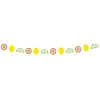 Citrus Fruit Paper Garland