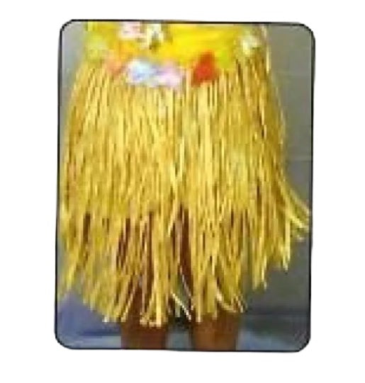 Raffia Skirt - Children Size 24in x 17in