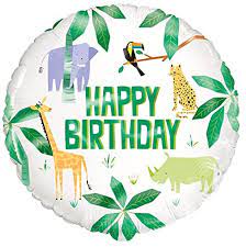 Fun Safari Birthday Party 18